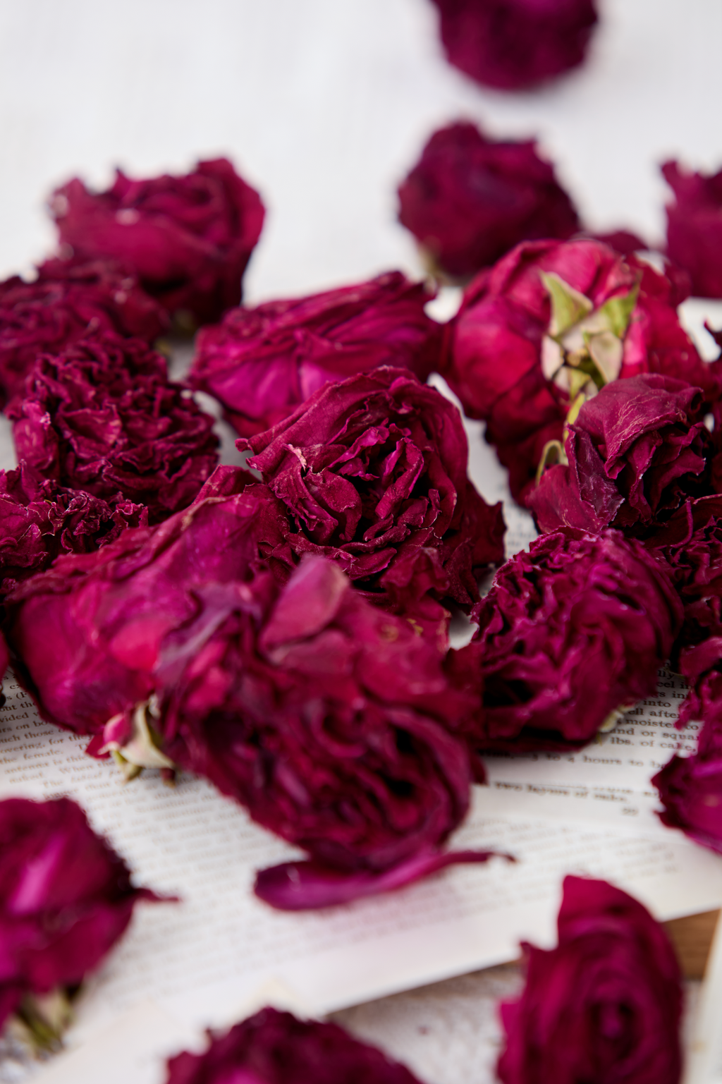 Mohan Rose Tea from Dali, Yunnan