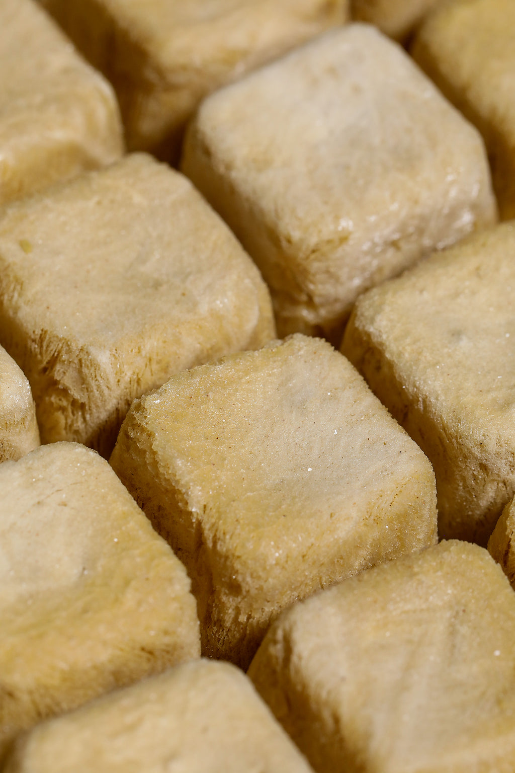 freeze-dried table olives